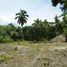  Grundstück zu verkaufen in Anton, Cocle, Rio Hato