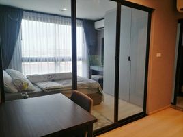 1 Bedroom Condo for rent at Rise Rama 9, Bang Kapi