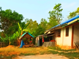 3 Schlafzimmer Haus zu verkaufen in Changhan, Roi Et, Changhan, Roi Et