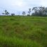  Land for sale in Caapiranga, Amazonas, Caapiranga
