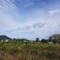  Land for sale in Thalang Phuket, Sakhu