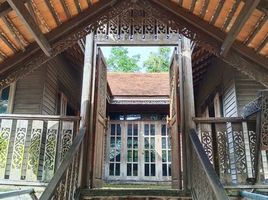 3 Schlafzimmer Haus zu verkaufen in Mueang Lamphun, Lamphun, Mueang Nga, Mueang Lamphun, Lamphun