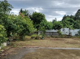 3 Schlafzimmer Villa zu verkaufen in Mueang Chiang Rai, Chiang Rai, Tha Sai