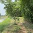  Land for sale in Manorom, Chai Nat, Tha Chanuan, Manorom