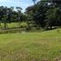  Land for sale in Vargas Park, Limon, Limon