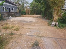  Land for sale in Chiang Mai, San Pu Loei, Doi Saket, Chiang Mai