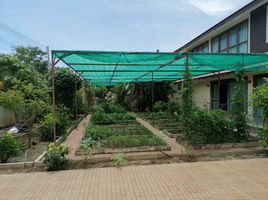 3 Schlafzimmer Haus zu verkaufen in San Kamphaeng, Chiang Mai, Mae Pu Kha, San Kamphaeng