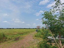  Land for sale in Lop Buri, Nong Krabian, Ban Mi, Lop Buri