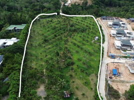  Land for sale in Phuket, Choeng Thale, Thalang, Phuket