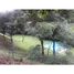  Land for sale in Grecia, Alajuela, Grecia