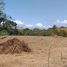  Land for sale in El Palmar Beach, San Carlos, Las Uvas