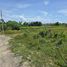  Land for sale in Sakhu, Phuket, Sakhu, Thalang