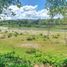  Land for sale at La Mulata - Sosua, Sosua