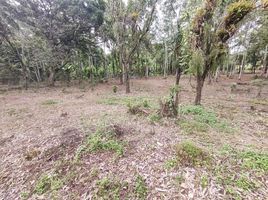  Land for sale in Siquirres, Limon, Siquirres