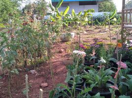  Land for sale in Non Thai, Nakhon Ratchasima, Non Thai, Non Thai