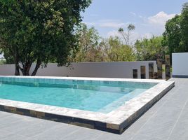 3 Schlafzimmer Villa zu verkaufen in Mueang Chiang Rai, Chiang Rai, Mueang Chiang Rai