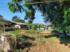  Grundstück zu verkaufen in Mae Rim, Chiang Mai, Huai Sai, Mae Rim, Chiang Mai