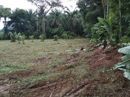  Land for sale in Si Sunthon, Thalang, Si Sunthon