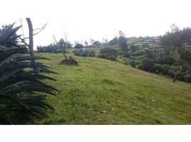  Land for sale in Alangasi, Quito, Alangasi