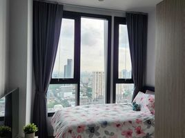 2 Bedroom Condo for sale at XT Ekkamai, Khlong Tan Nuea