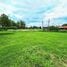  Land for sale in San Sai, Chiang Mai, Nong Han, San Sai