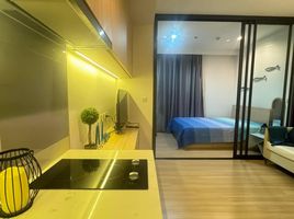 1 Bedroom Condo for rent at M Jatujak, Chomphon