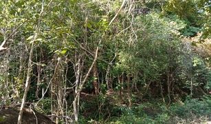 N/A Land for sale in Ko Pha-Ngan, Koh Samui 