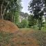  Land for sale in Ao Nang, Krabi, Ao Nang, Mueang Krabi
