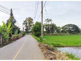  Land for sale in Ban Du, Mueang Chiang Rai, Ban Du