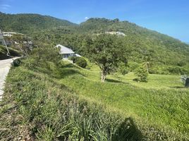  Grundstück zu verkaufen in Koh Samui, Surat Thani, Taling Ngam