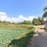  Grundstück zu verkaufen in Lom Sak, Phetchabun, Nong Khwai