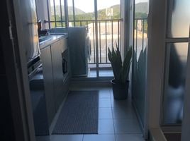 1 Bedroom Condo for rent at D Condo Mine, Kathu