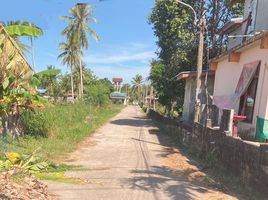  Land for sale in Mai Khao, Thalang, Mai Khao