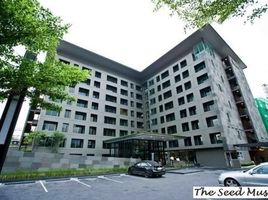 1 Bedroom Condo for rent at The Seed Musee, Khlong Tan