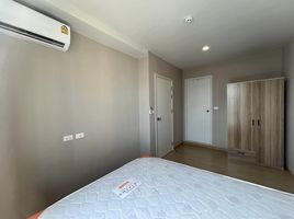 1 Schlafzimmer Wohnung zu vermieten im The Tree Onnut Station, Bang Chak