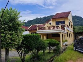 4 Schlafzimmer Villa zu verkaufen in Thalang, Phuket, Sakhu
