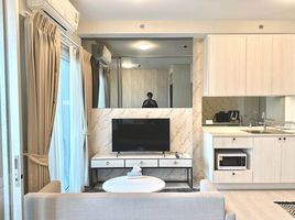 1 Bedroom Apartment for rent at Chapter One Shine Bangpo, Bang Sue, Bang Sue, Bangkok