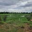  Land for sale in Muang Sam Sip, Muang Sam Sip, Muang Sam Sip