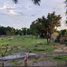  Land for sale in Sikhio, Nakhon Ratchasima, Kut Noi, Sikhio