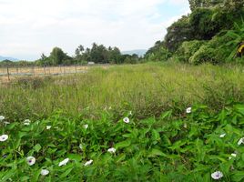  Land for sale in Mae Taeng, Chiang Mai, Inthakhin, Mae Taeng