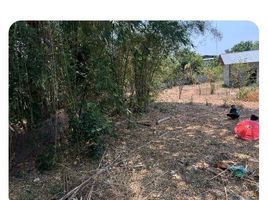  Land for sale in Non Sung, Yang Talat, Non Sung