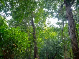  Grundstück zu verkaufen in Nong Thale, Krabi, Nong Thale