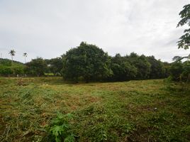  Land for sale in Koh Samui, Bo Phut, Koh Samui