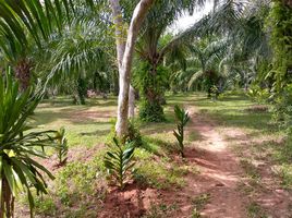  Grundstück zu verkaufen in Bang Saphan Noi, Prachuap Khiri Khan, Bang Saphan