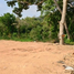  Land for sale in Trat, Ko Chang, Ko Chang, Trat