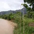  Grundstück zu verkaufen in Vang Vieng, Vientiane, Vang Vieng