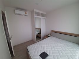 1 Bedroom Condo for rent at The Tree Charan 30, Ban Chang Lo