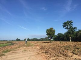  Land for sale in Chai Nat, Hang Nam Sakhon, Manorom, Chai Nat