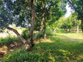  Land for sale in Nong Saeng, Saraburi, Khok Sa-At, Nong Saeng