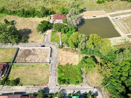  Land for sale in Saraphi, Chiang Mai, Saraphi, Saraphi